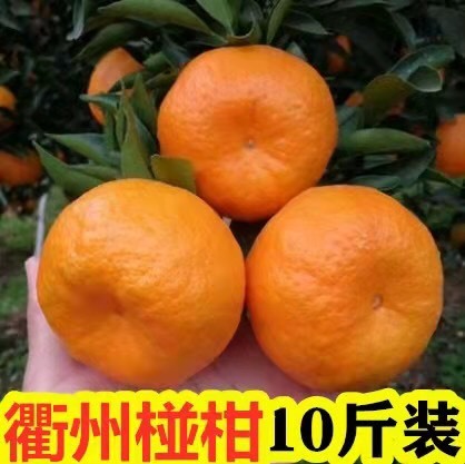 衢州衢州椪柑橘子新鲜10斤桔子农家自产碰柑芦柑丑橘包邮非沙糖桔蜜