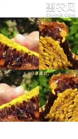 昆明蜂蜜云南冬季，土蜂蜜，结晶冬蜜，嫩如猪肉膏1斤包邮