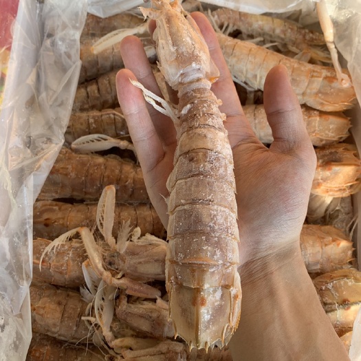 成都 皮皮虾，跟我走！ 量大从优！