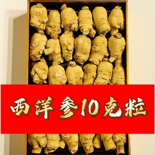 抚松县优质西洋参西洋参粒头西洋参10克粒头西洋参现货包邮