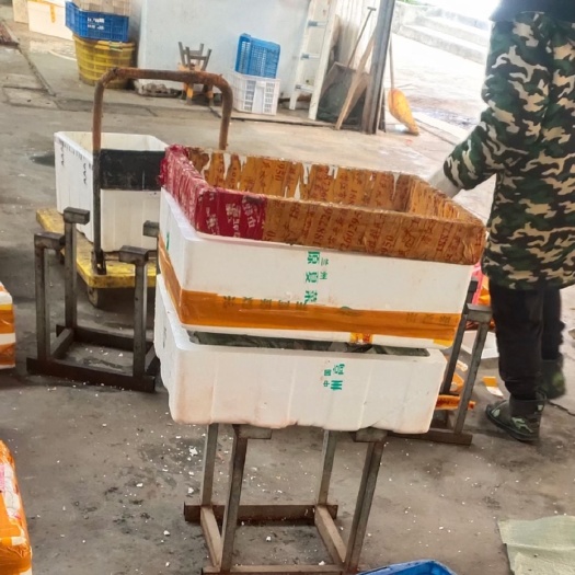 兴化市江苏小龙虾直销，一手货源