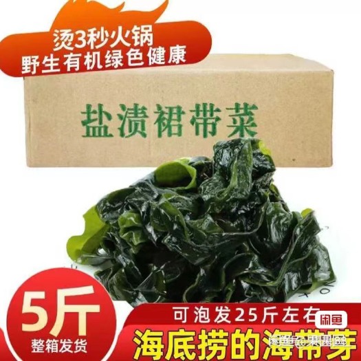 大连盐渍裙带菜 诚信经营 15.9元5斤包邮