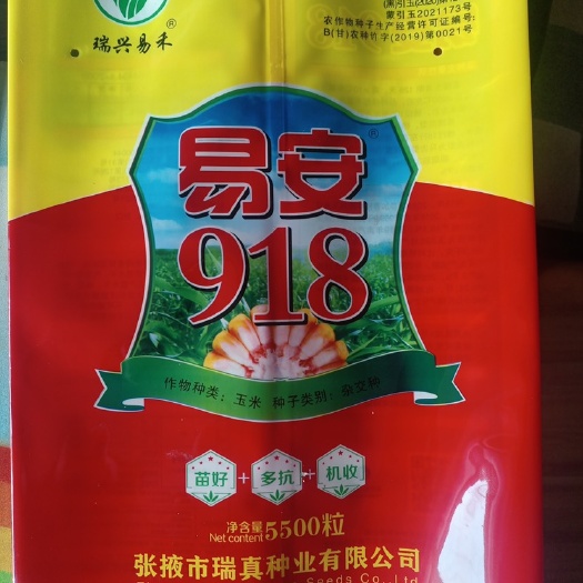 公主岭市易安918玉米种子，易禾588玉米种子