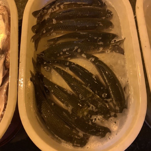 淮安草鱼