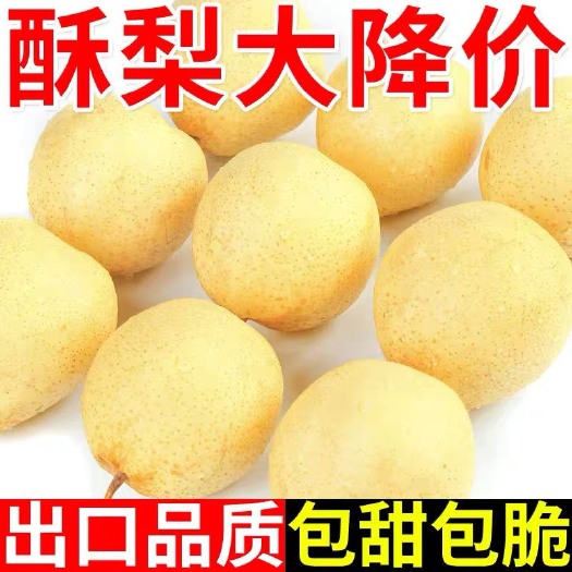大荔县蒲城酥梨一件代发