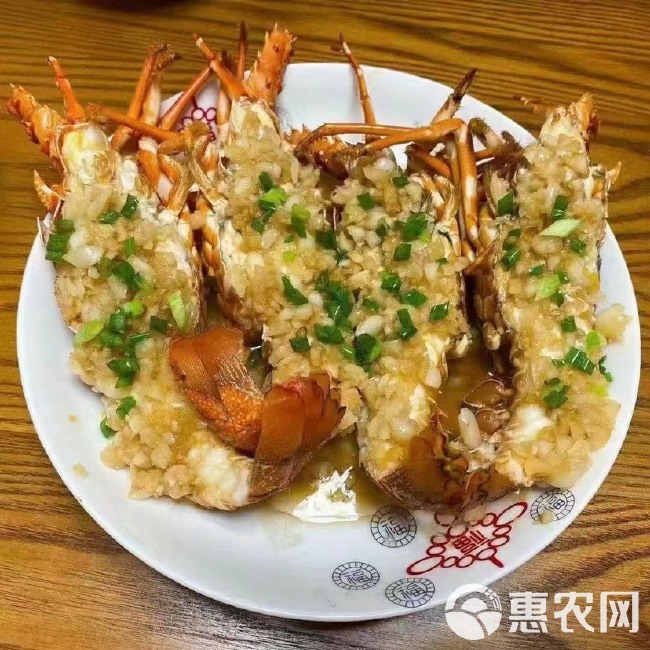 小青龙龙虾 二级冷冻小青龙越南青龙仔预制作菜烧烤自助餐食材