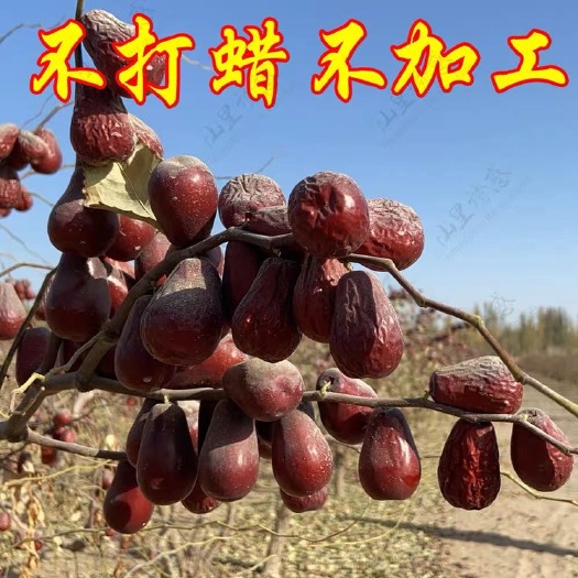 西安21年和田骏枣特产玉枣新疆大枣未清洗吊干红枣