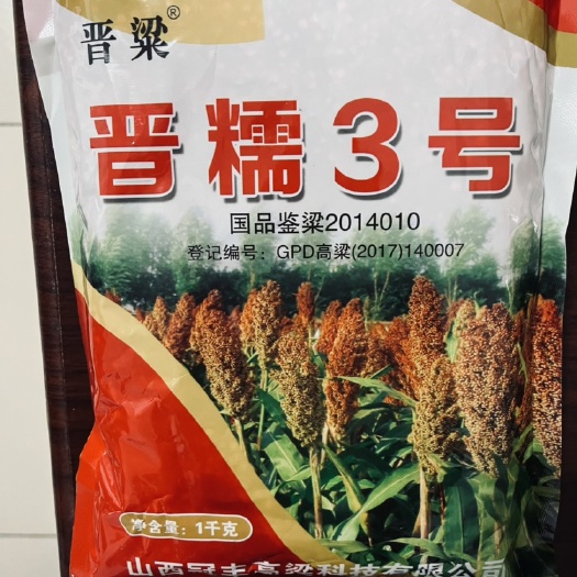 晋糯3号高粱种子 高粱种子 晋糯三号 糯粮 酿酒专用