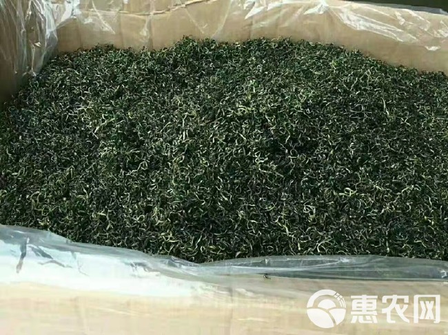  蒲公英茶  今年新货 干货散装  泡水喝量大从优厂地批发