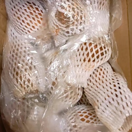 上海云南天山雪莲果，亏本卖，低价出，都是特大果，两折卖