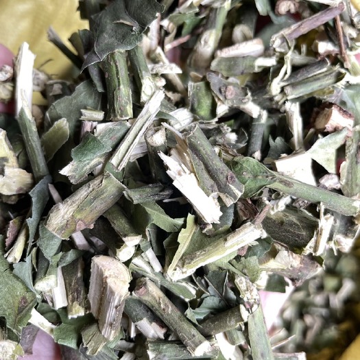 玉林 大驳骨