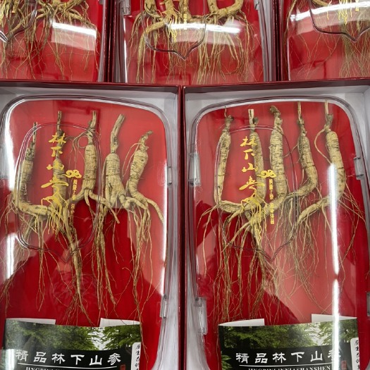 广州林下参礼盒