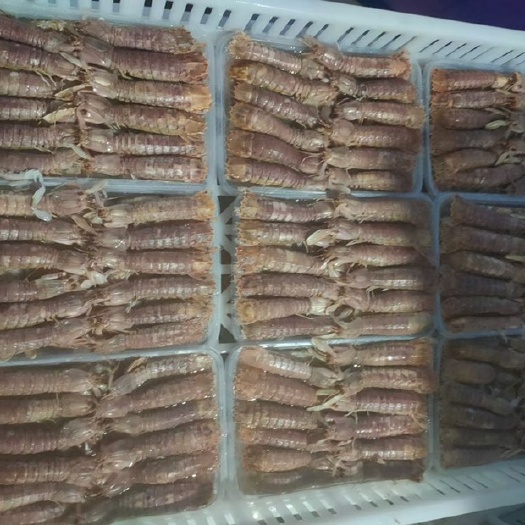 连云港熟冻皮皮虾，净重500克盒装，毛重550-600克