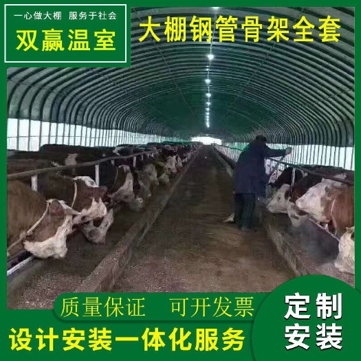 沭阳县养殖大棚全套钢架牛棚养鸡大棚羊棚全套牛棚蔬菜大棚温室种植大棚