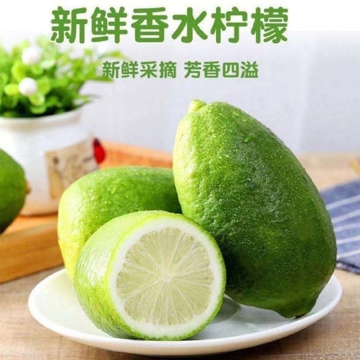 海口 海南香水柠檬