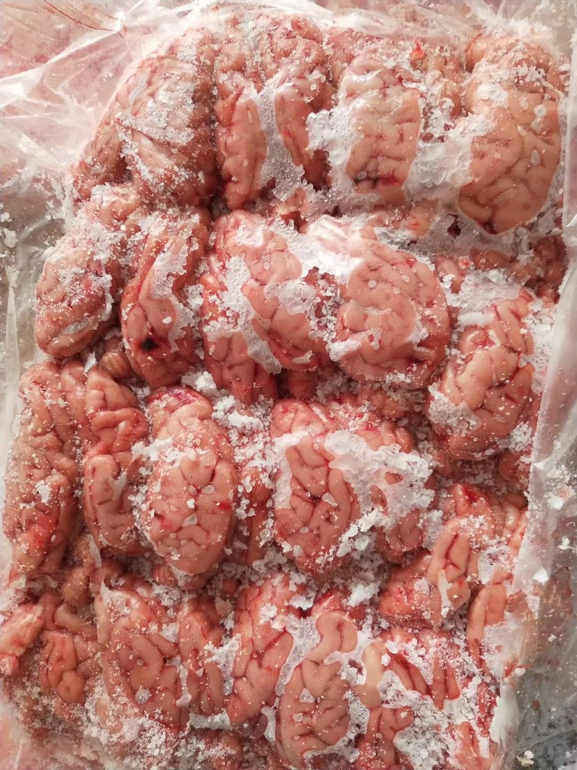 猪脑花，屠宰场直销￼，国产精品级货