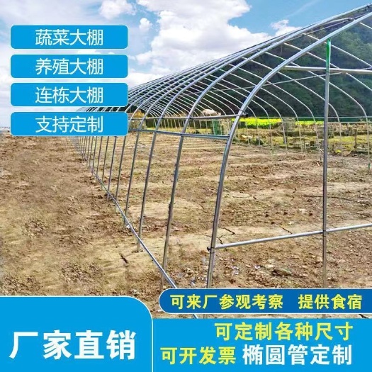 沭阳县种植大棚  温室大棚骨架钢管定制蔬菜养殖大棚全套农业连体连栋大棚