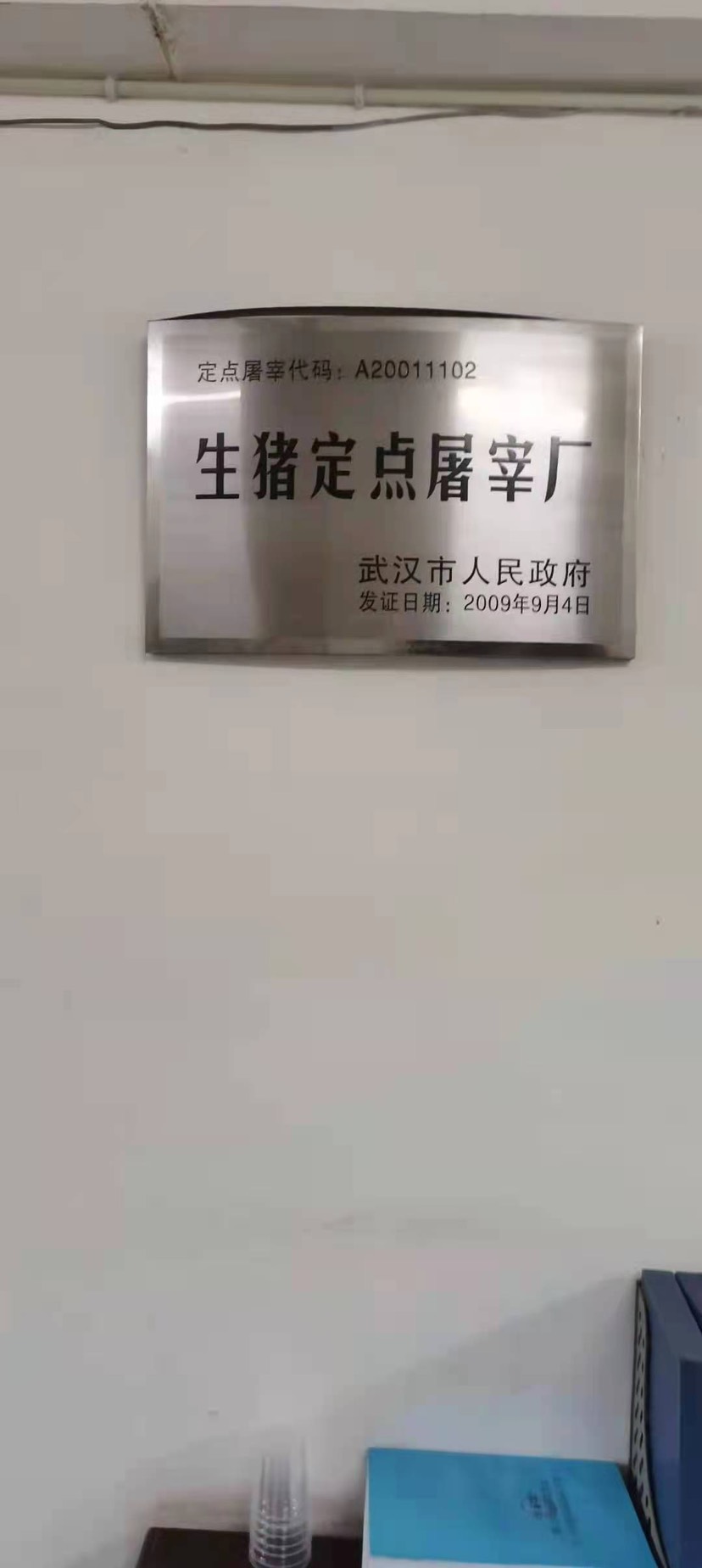 猪脑花，屠宰场直销￼，国产精品级货