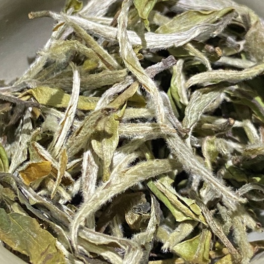 福安市白牡丹茶  福鼎白茶白牡丹 牡丹明前日晒 白茶散装批发牡丹王