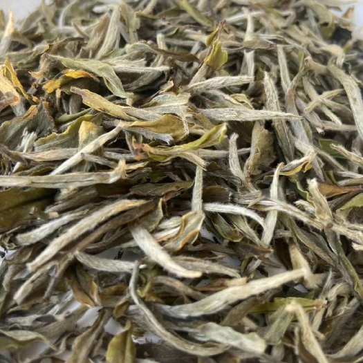 福安市白牡丹茶 福鼎明前牡丹王 白茶批发 白牡丹 茶叶批发花香牡丹