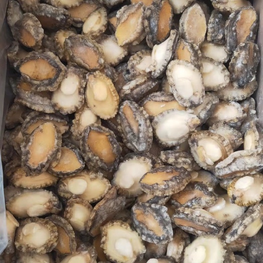 成都 鲍鱼肉