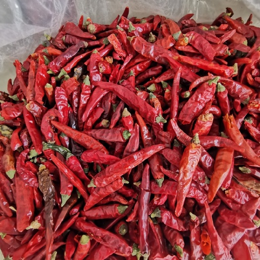 临颍县天宇干辣椒 烘干天宇艳椒