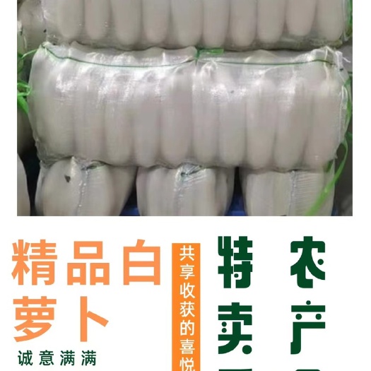 天门市白萝卜，优质渣货，工厂，萝卜皮，酱萝卜