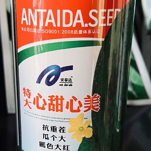 永济市美国重茬王西瓜种子 特大心甜心美 大红瓤抗重茬甜度16
