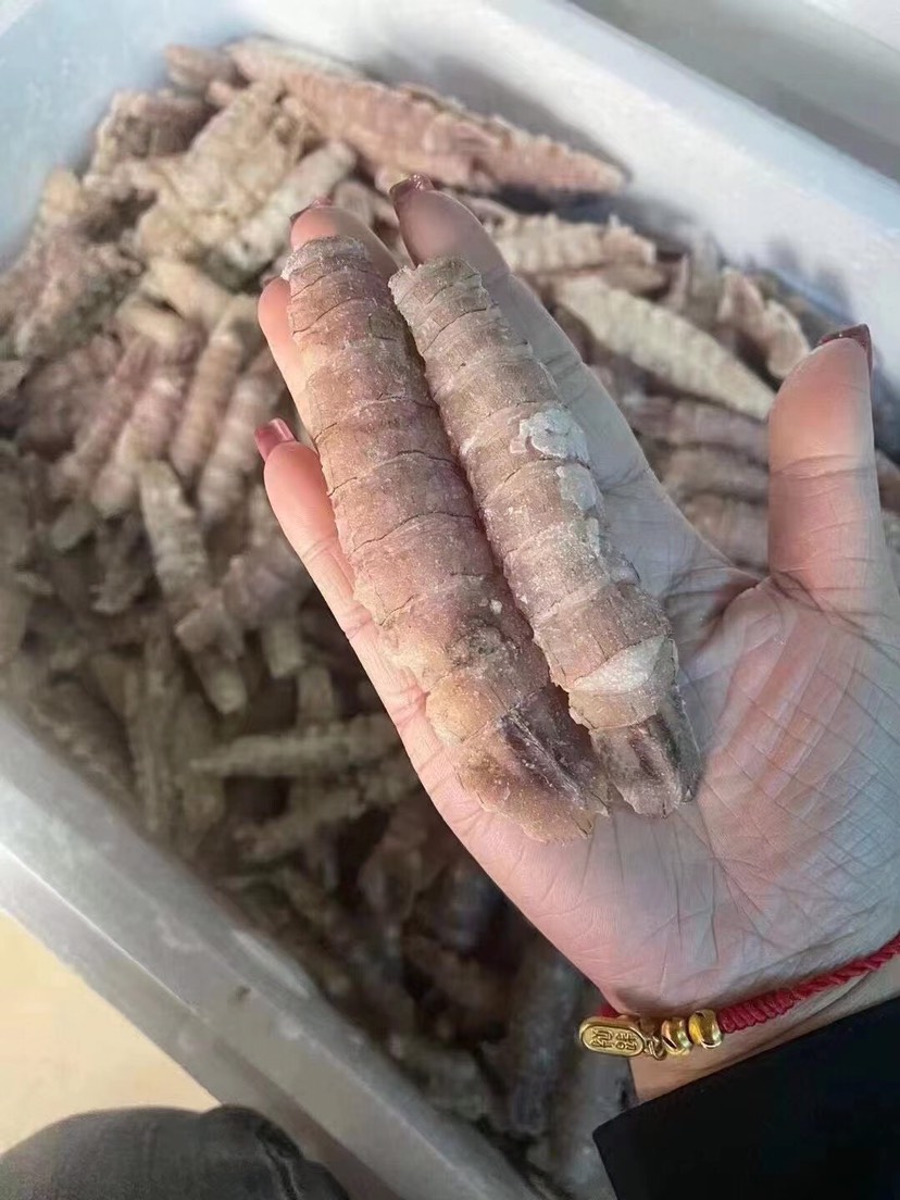 皮皮虾精品单冻大爬虾肉，8~12公分，个头大，