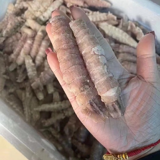 乳山市皮皮虾精品单冻大爬虾肉，8~12公分，个头大，