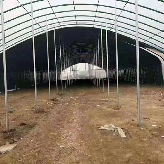 天津 温室大棚种植