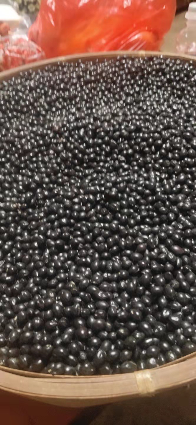 马关县云南优质山豆根种子颗粒饱满 苦参种子 提供种植技术药材广豆根