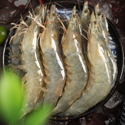 对虾 盐冻大虾  桑塔大虾30/40
