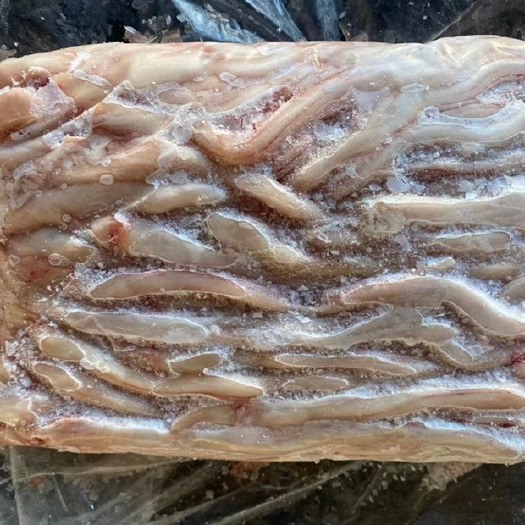 商河县羊鞭 内蒙羊鞭 贼细 烧烤必备 懂得来