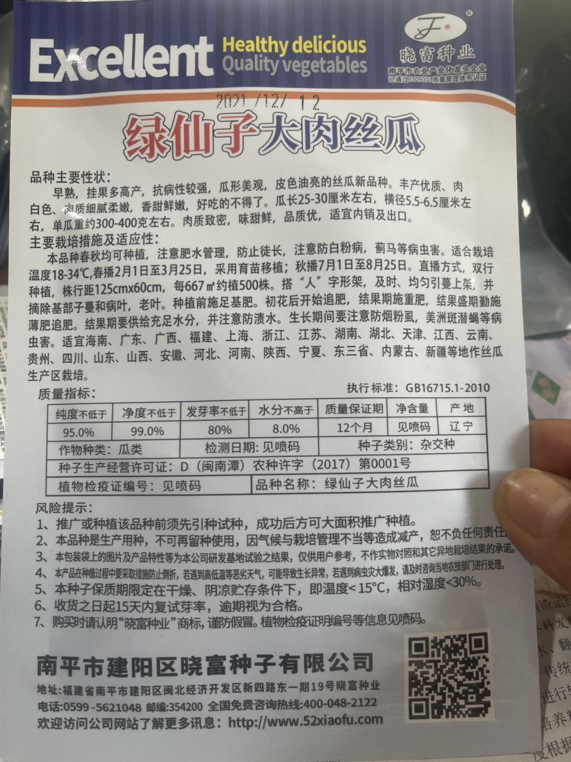 丝瓜种子 绿仙子大肉丝瓜品种主要性状:早熟，挂果多，口感甜脆