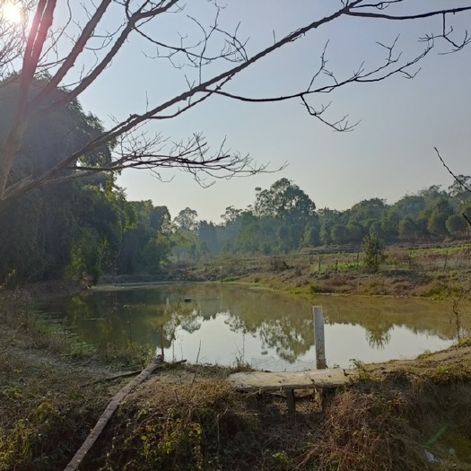 重庆市水产养殖用地 重庆市巴南区二圣镇，25亩鱼塘，离镇上几公里