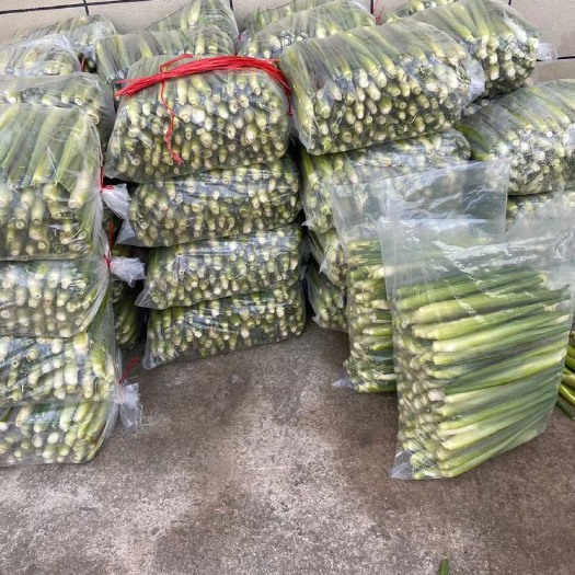 苏州平口袋 茭白包装 茭白袋子 30斤 9斤 2斤 15斤装 全部有现货