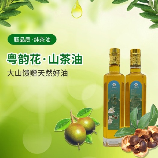 佛山山茶油 天然山茶籽油 招商
