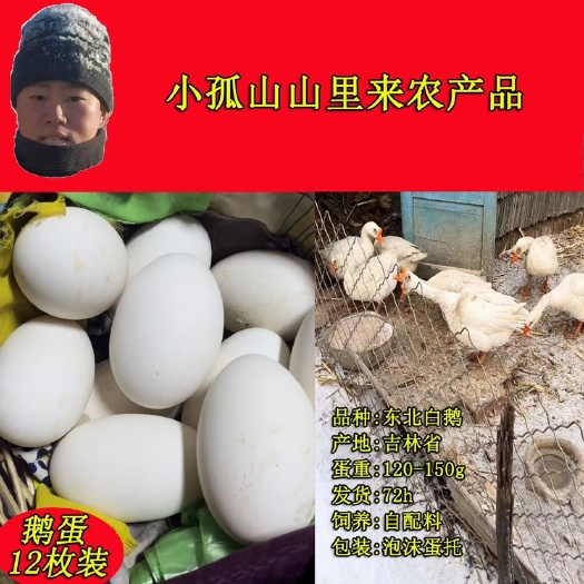 伊通县25年吉林四平伊通鹅蛋 重120-150g泡沫蛋托破碎包赔