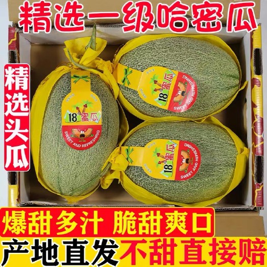 三亚一件代发 海南哈密瓜新鲜孕妇水果10斤整箱 坏果包赔