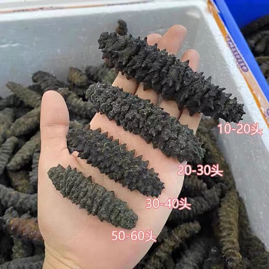 大连大连深海底50g 辽刺参淡干海参干货礼盒送礼国标优惠淡海参