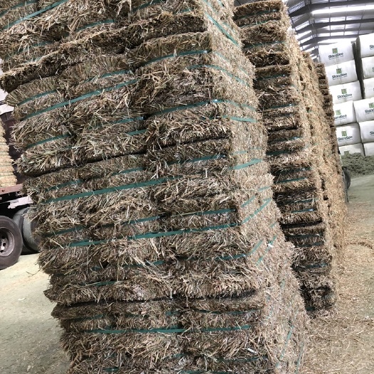 天津饲料燕麦草 2021澳洲燕麦草到货指标好！大量私信询价