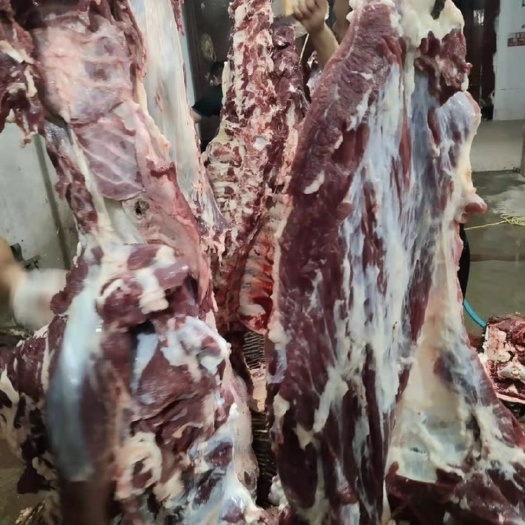 牛肉类 牛肉,鲜牛肉每天新鲜屠宰,厂家直销,纯干货,不注水。