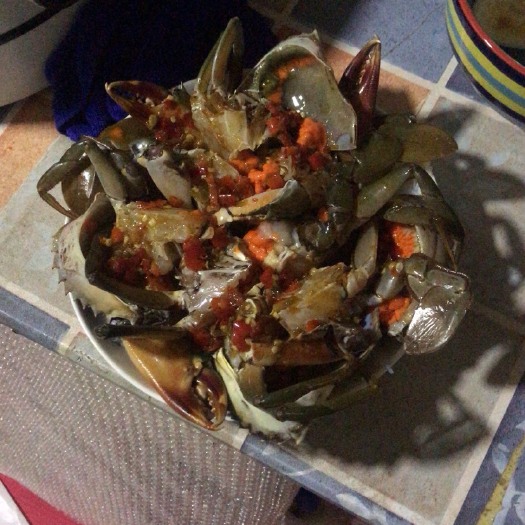 上海青蟹 青膏蟹