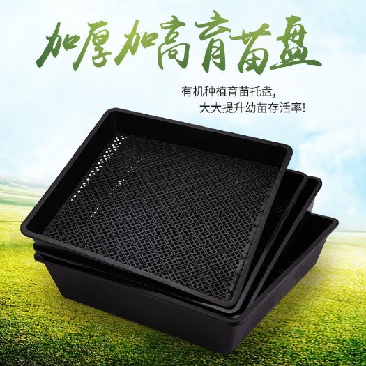 玉田县穴盘/育苗盘 批发育苗盘西瓜西红柿盘玉米秧盘托盘平盘扦插育苗盆厂家直销