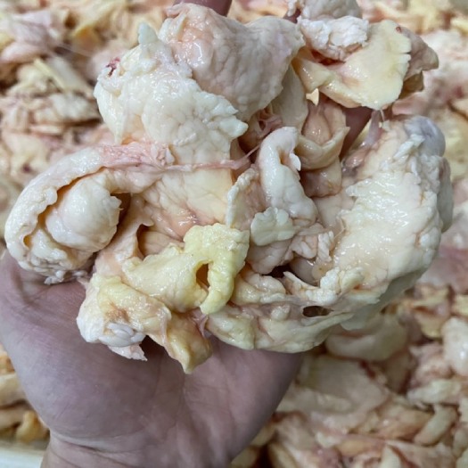 深圳冷冻肉鸡板油 鸡油