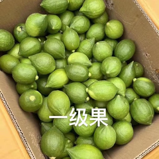 佛山（百亩果园）广东香水柠檬无籽香水柠檬零售批发