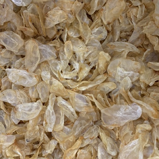亳州黄花胶 鱼鰾 淡水鱼胶，鱼鳔，500克包邮