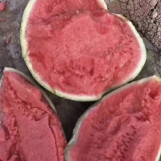美都西瓜