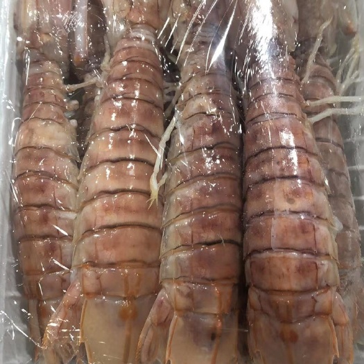 北海正宗北部湾鲜活蒸熟冷冻超大皮皮虾爬虾姑整箱批发价海鲜濑尿